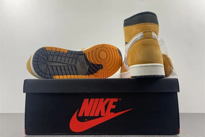 Air Jordan 1 Element Gore Tex Light Curry DB2889 700