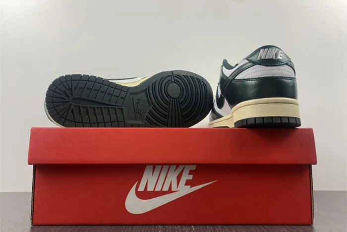 NIKE DUNK LOW VINTAGE GREEN DQ8580 100