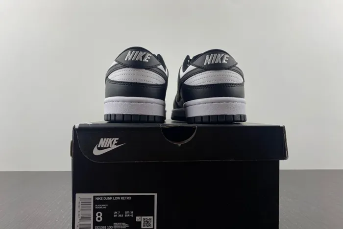 nike dunk low Ch*0me He**ts matty boy sex records dd1391-100
