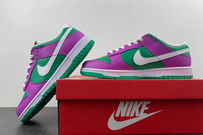 NIKE Dunk Low FD9924-311