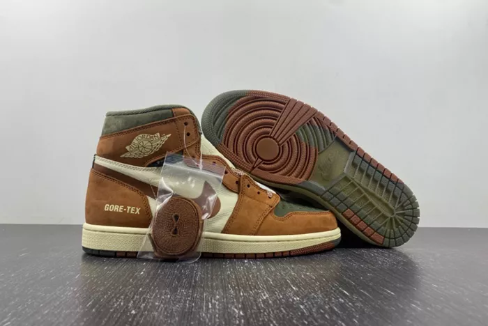 AJ1 Gore-Tex Jordan 1 High DB2889-100