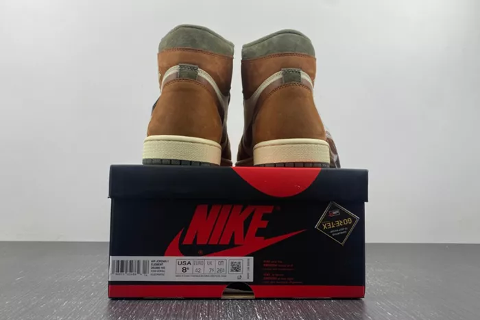 AJ1 Gore-Tex Jordan 1 High DB2889-100