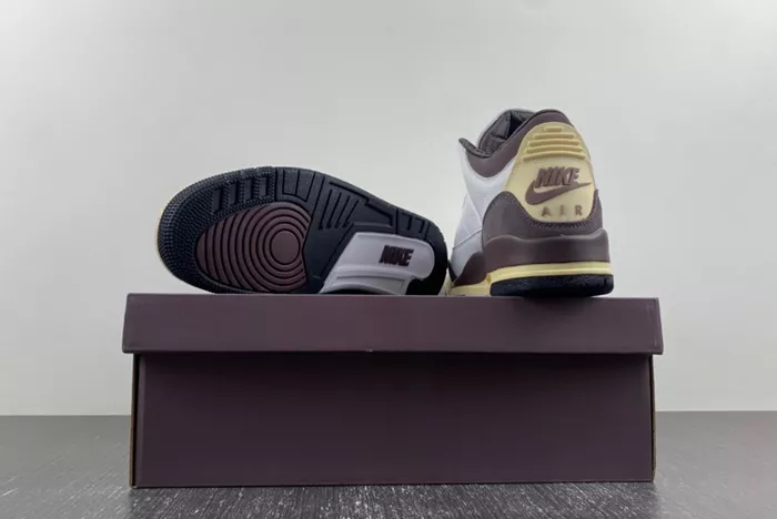 Air Jordan 3 DH3434-113